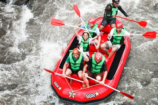 Water Rafting adventure with Jungle Swing & rice terraces - Rafting the Ayung River for two hours