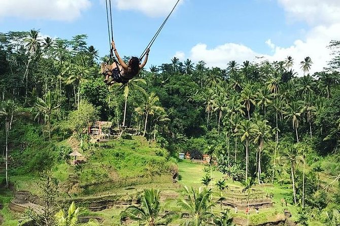 Water Rafting adventure with Jungle Swing & rice terraces - Tegalalang Rice Terrace after the river