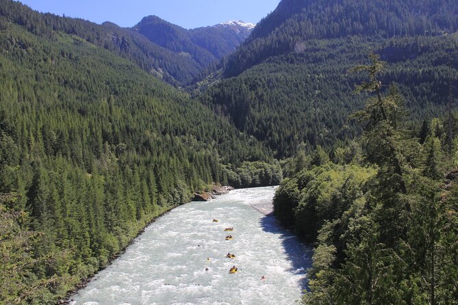 A river running out of forested mountains above Squamish