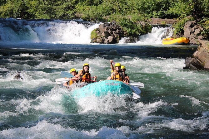 White Salmon River Rafting Half Day - What $90 buys you