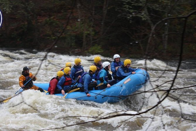 White Water Rafting on the River Tay from Aberfeldy - Learning the river before the rapids