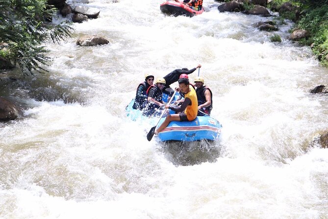 White Water Rafting with Monkey Cave Experience from Phuket - Monkeys around the cave temple