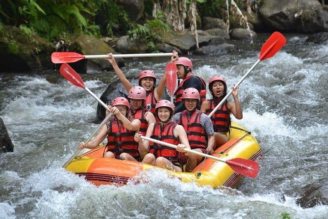 White Water Rafting with Ubud Tour - A closer look at the $65 price