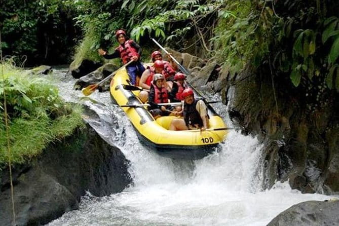 White Water Rafting with Ubud Tour - Who will enjoy this Ayung River trip