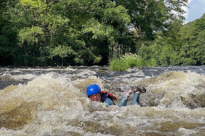White Water River Bugs in Llangollen - Why the rapids feel more exciting from a bug