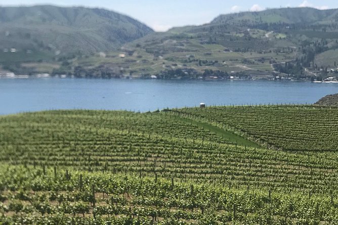 Whitewater and Wine: Wenatchee River Whitewater Rafting and Winery Tour - What happens at the 9 a.m. meeting point