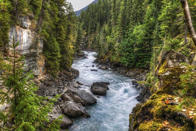 Whitewater Rafting on Jasper's Fraser River - Key points to know before you book