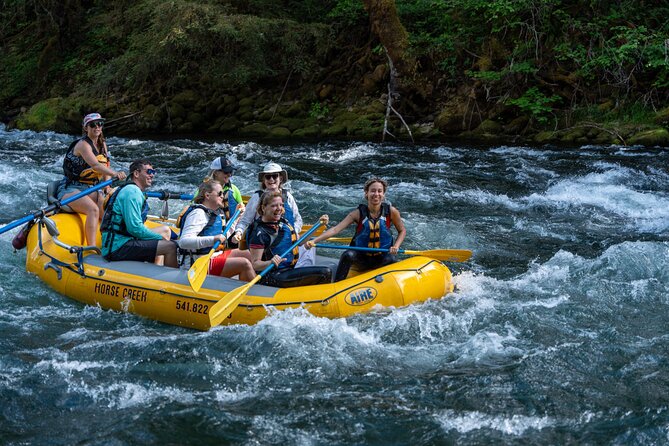 Whitewater Rafting on The McKenzie River - The five-minute ride back to Blue River