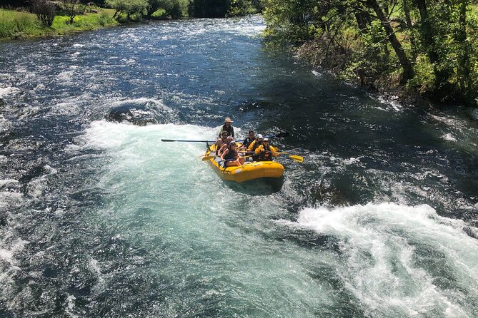 Whitewater Rafting on The McKenzie River - Is $95 a fair price?