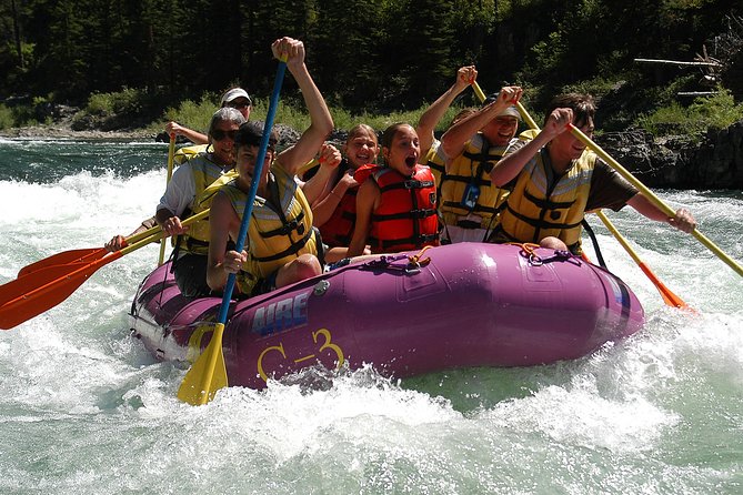 Whitewater Rafting Small Boat Adventure Snake River Jackson Hole - Who should book this adventure