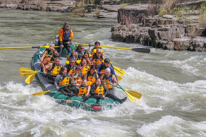 Whitewater Rafting Tour in Jackson Hole: Classic Adventure - Eight miles of Snake River Canyon in one classic trip