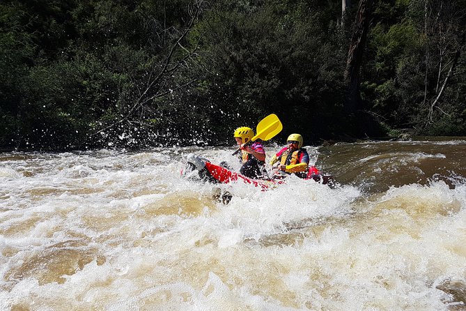 Whitewater Sports rafting on the Yarra river - Learning to paddle before the rapids begin