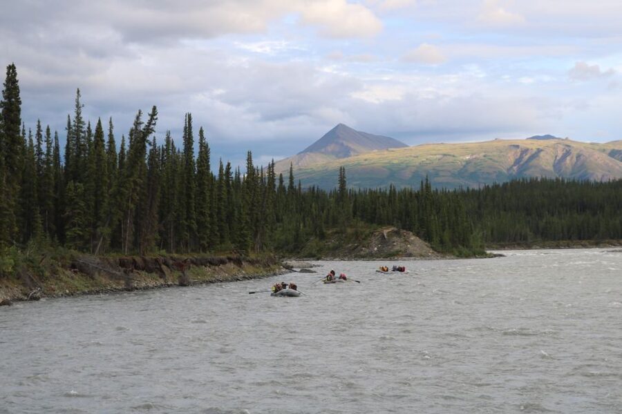 Wilderness: Denali National Park Class I-III Rafting Tour - What the river portion feels like