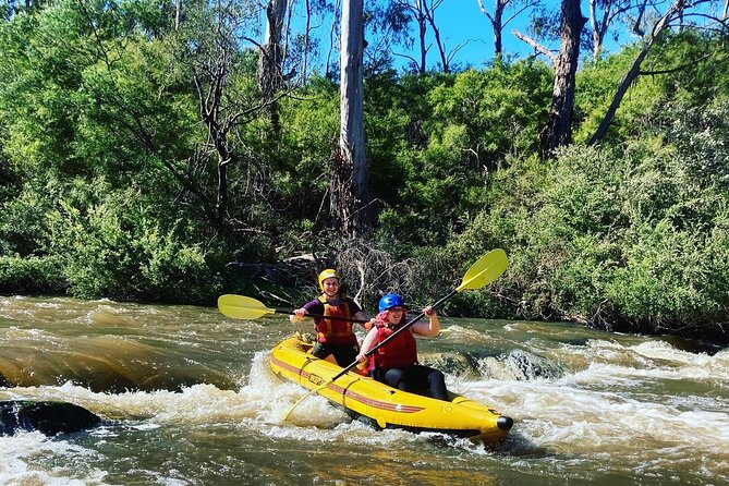 Yarra River Half-Day Rafting Experience - Wildlife and native bushland along the Yarra