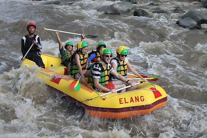 Yogyakarta Rafting tour for Family II-III or Professional V+ - Who will enjoy this rafting day most