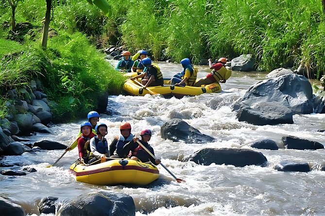 Yogyakarta Rafting tour for Family II-III or Professional V+ - Weather, cancellation, and practical limits